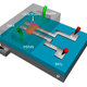 A schematic illustration of the experimental device. (Image: Xiaosong Du et al., 2016)